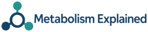 Metabolism Explained