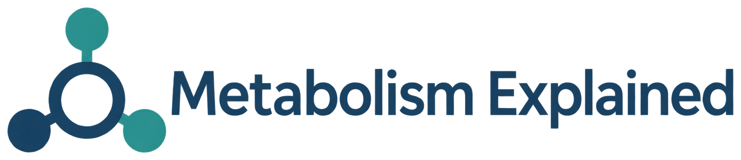 Metabolism Explained